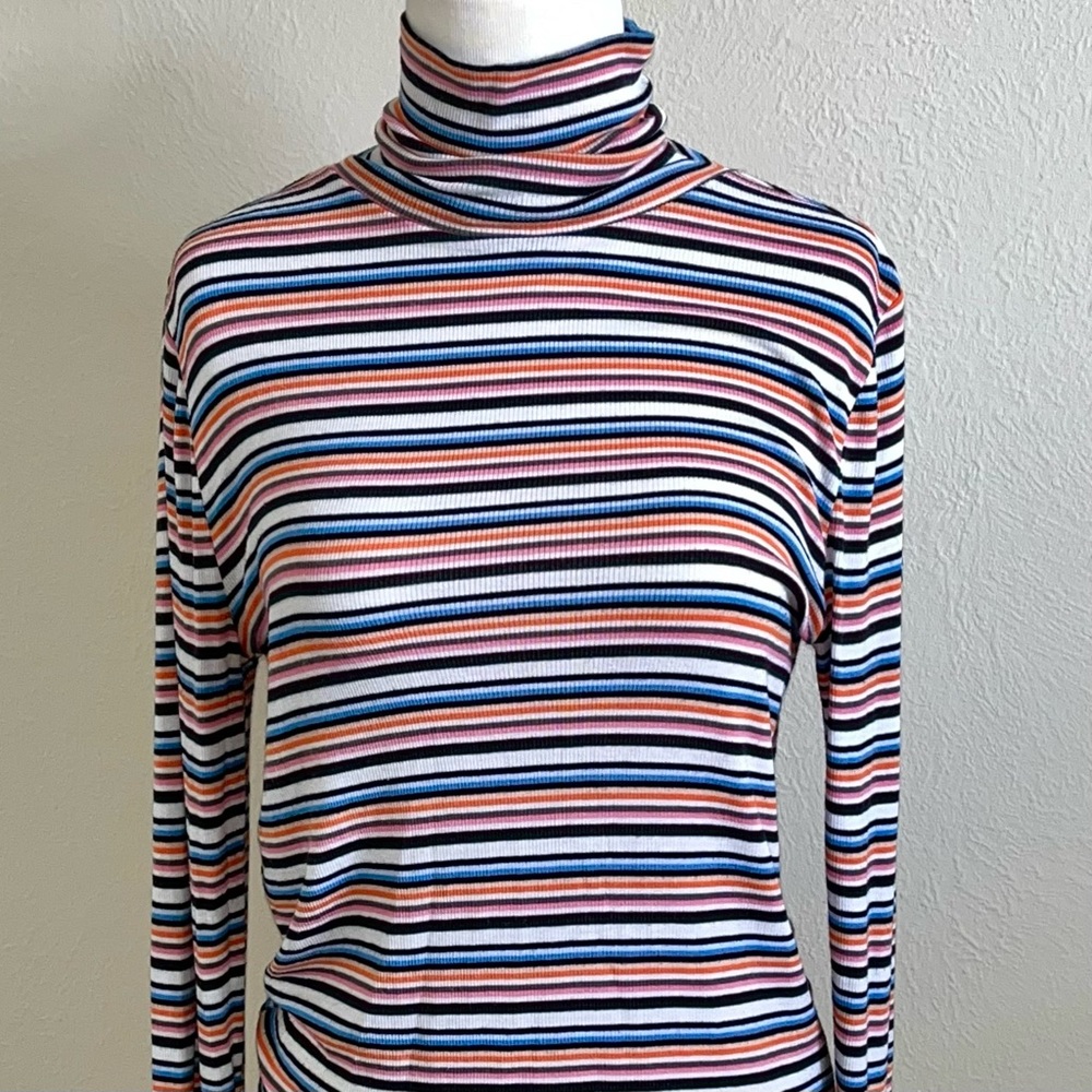 GAP Multicolored Striped SoftRib Turtleneck